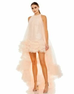 Tulle High Neck Sleeveless Ruffled Hem Hi-Lo Gown